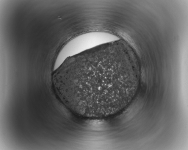 X0000088430449200706051233