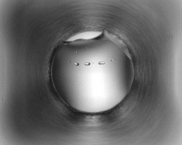 X0000088430450200706051233