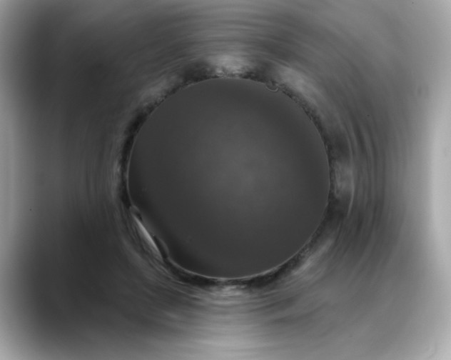 X0000088430451200706051233