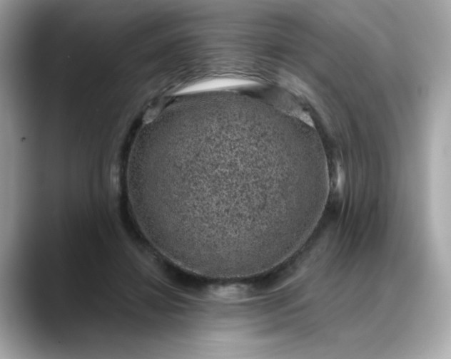 X0000088430452200706051233