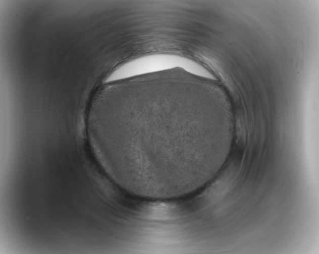 X0000088430453200706051233