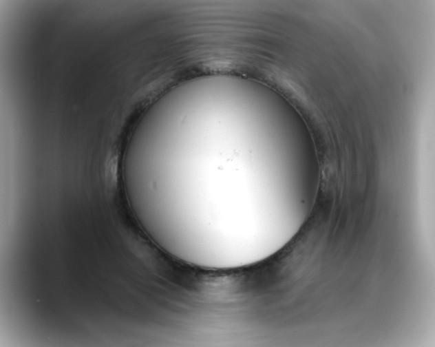 X0000088430454200706051233