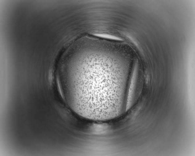 X0000088430455200706051233