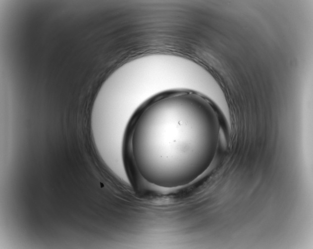 X0000088430456200706051233