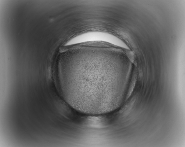 X0000088430457200706051233