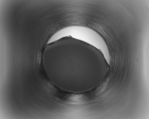 X0000088430458200706051233