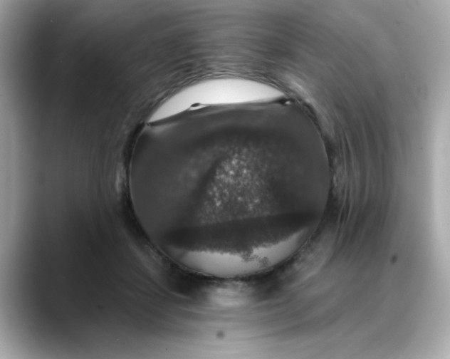 X0000088430459200706051233