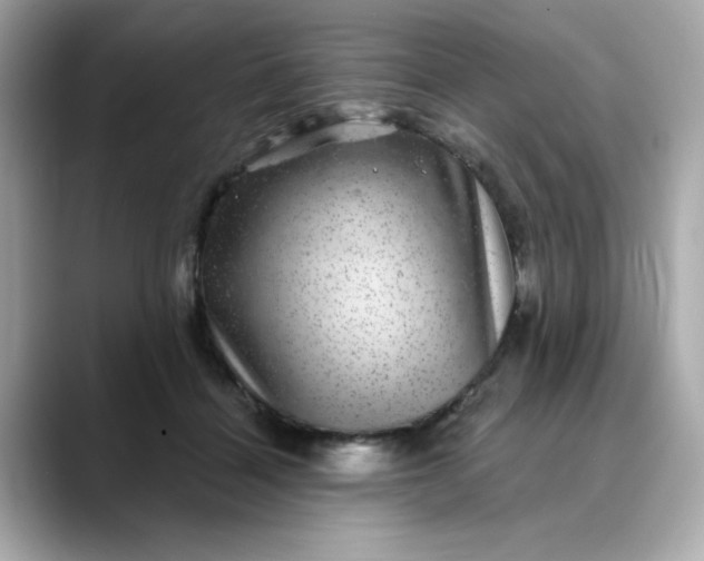 X0000088430460200706051233