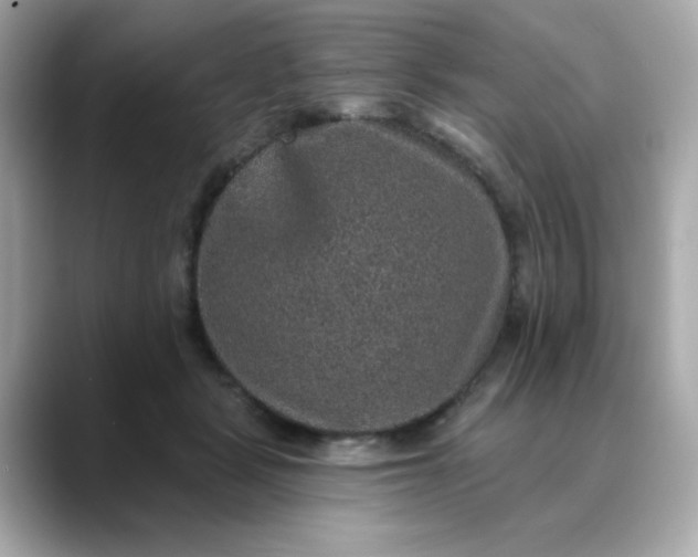 X0000088430461200706051233