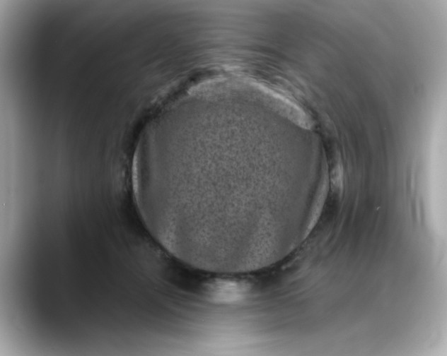 X0000088430464200706051233