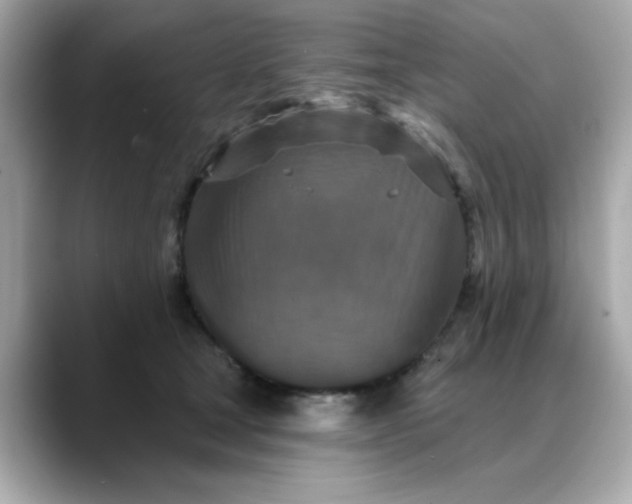 X0000088430465200706051233