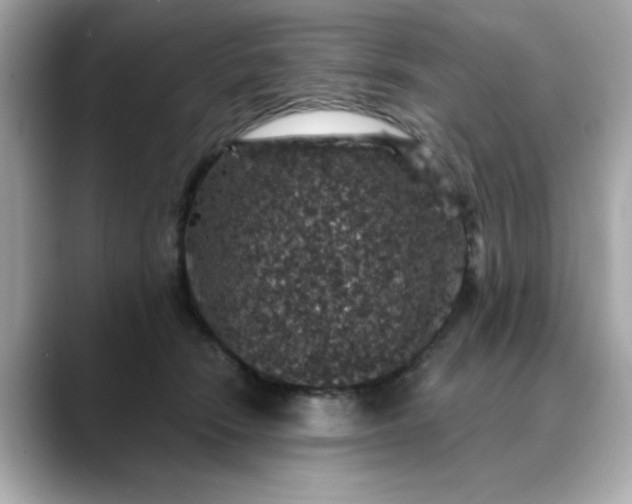 X0000088430466200706051233