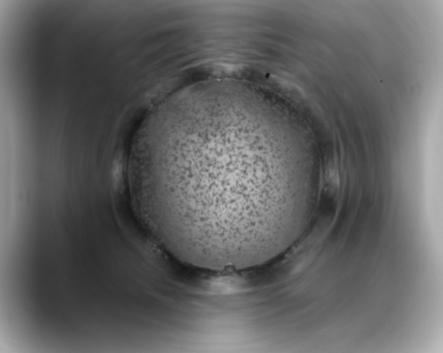 X0000088430468200706051233