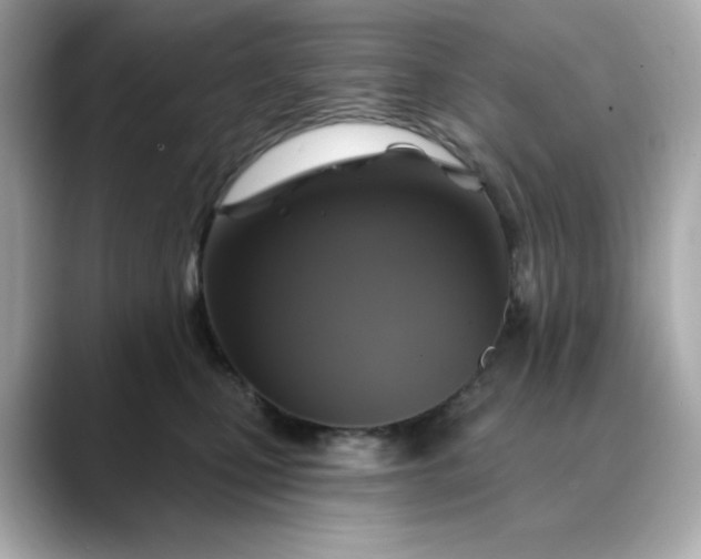 X0000088430471200706051233