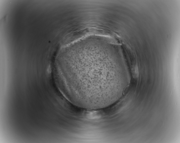 X0000088430472200706051233