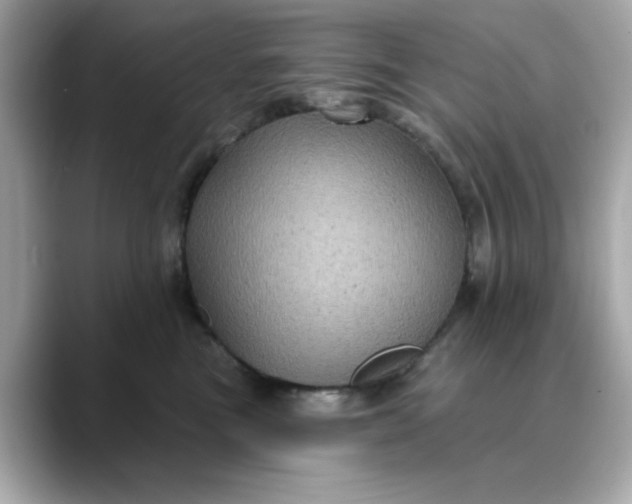 X0000088430473200706051233