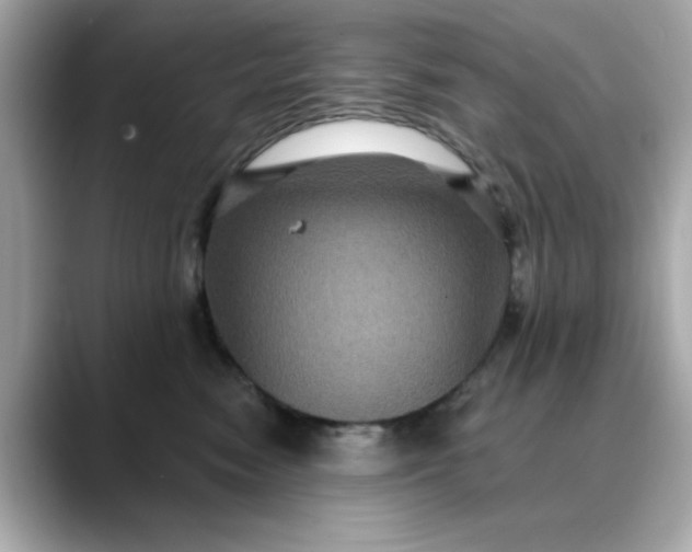 X0000088430474200706051233