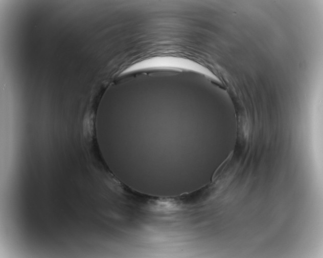 X0000088430475200706051233