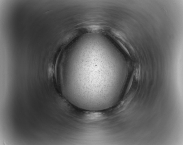 X0000088430476200706051233