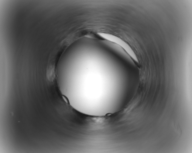 X0000088430478200706051233