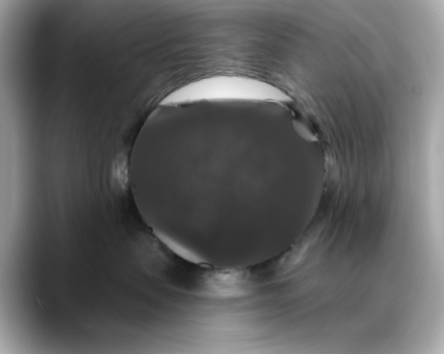 X0000088430479200706051233