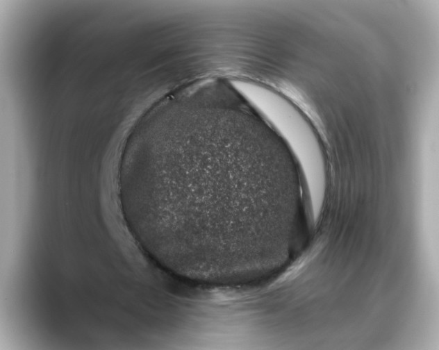 X0000088430481200706051233