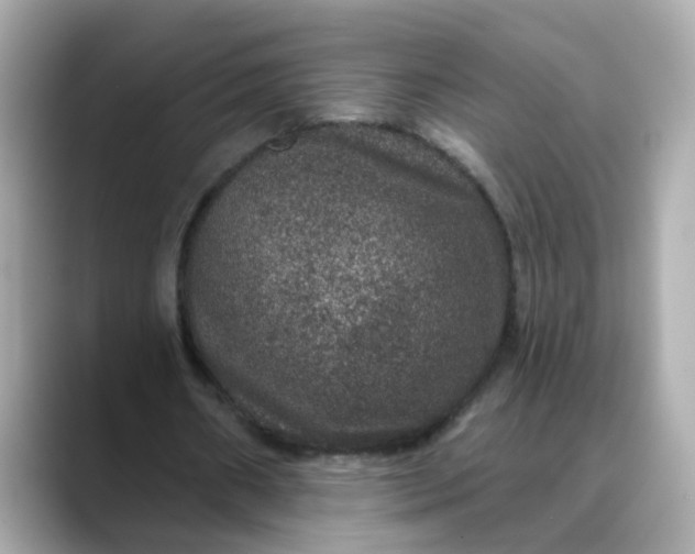 X0000088430482200706051233