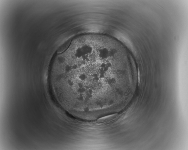 X0000088430483200706051233