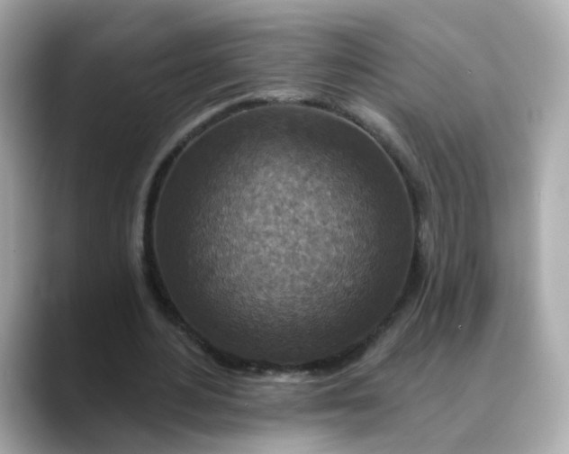 X0000088430484200706051233