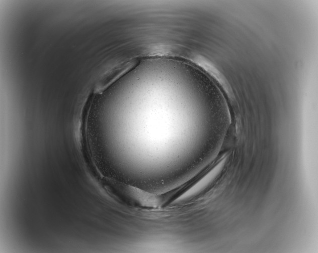 X0000088430485200706051233