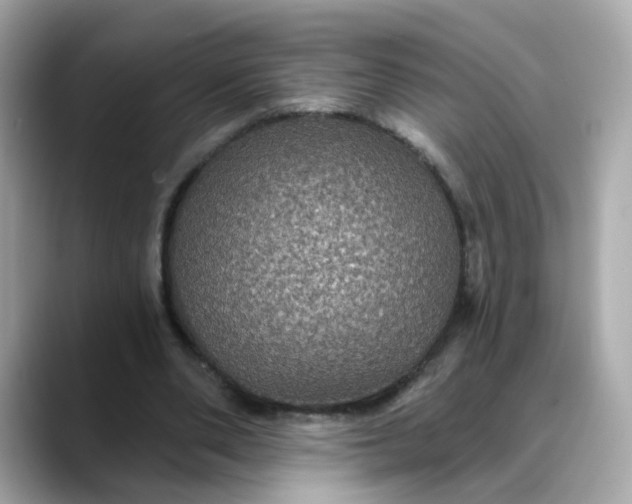 X0000088430486200706051233