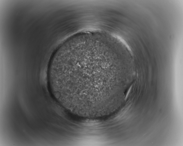 X0000088430487200706051233