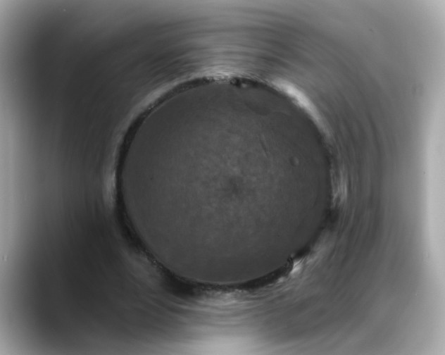 X0000088430488200706051233