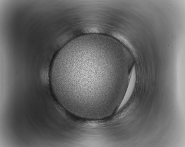 X0000088430489200706051233