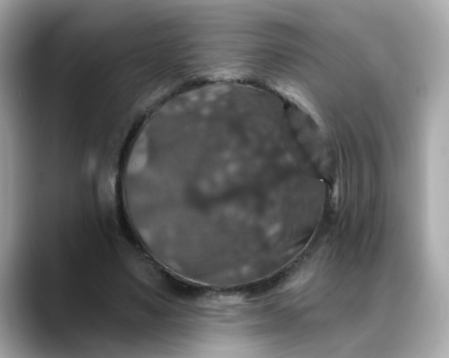 X0000088430491200706051233