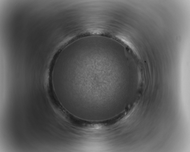 X0000088430492200706051232