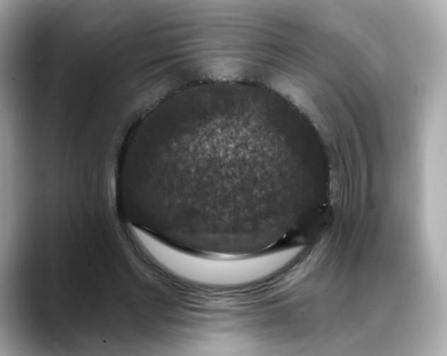 X0000088430493200706051232