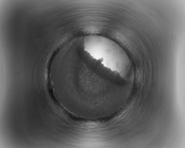 X0000088430494200706051232