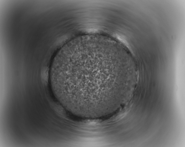 X0000088430495200706051232