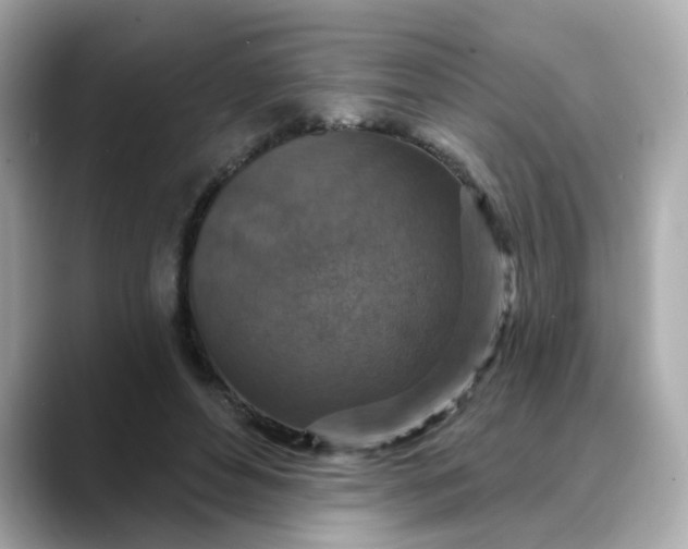 X0000088430496200706051232