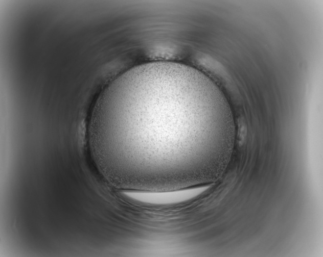 X0000088430498200706051232