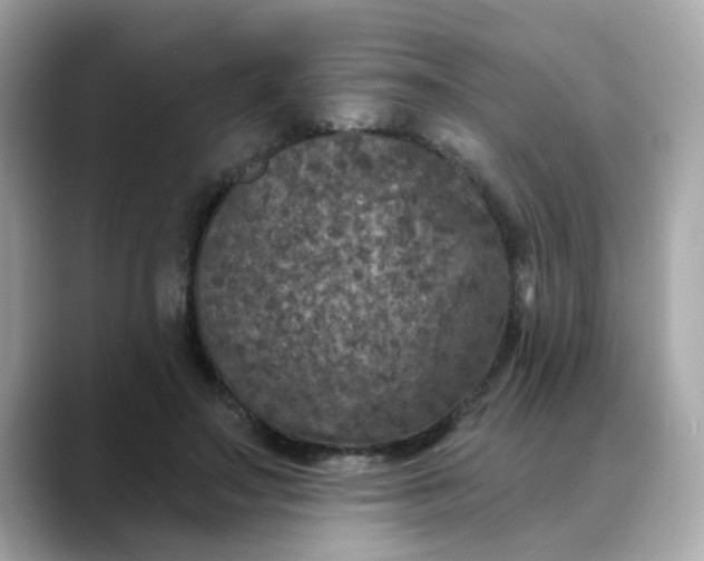 X0000088430499200706051232