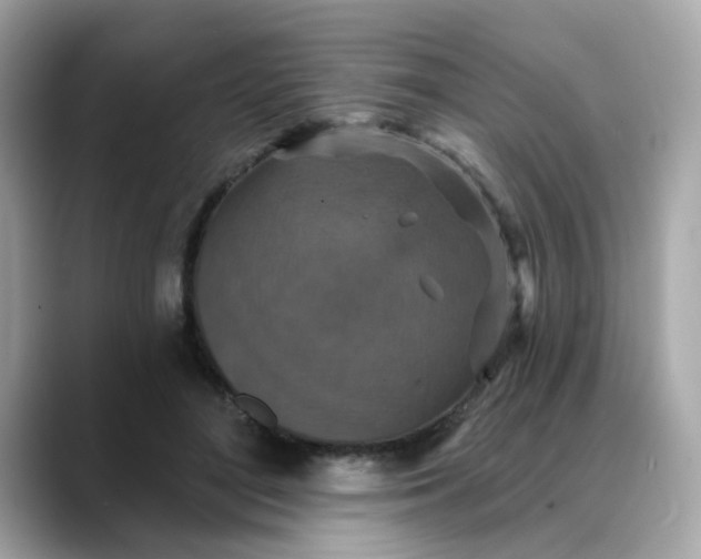 X0000088430500200706051232