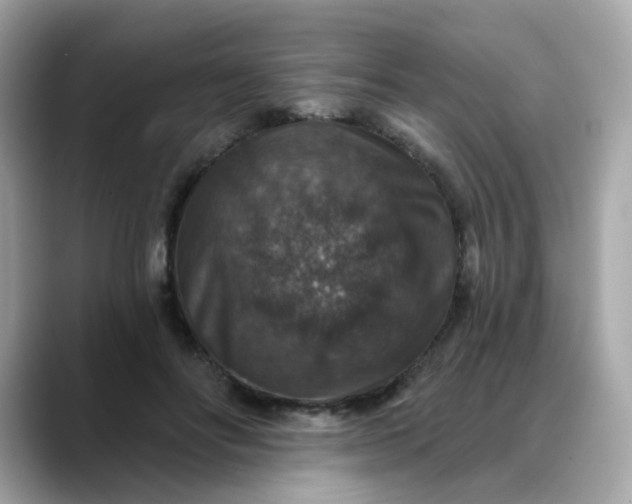 X0000088430502200706051232