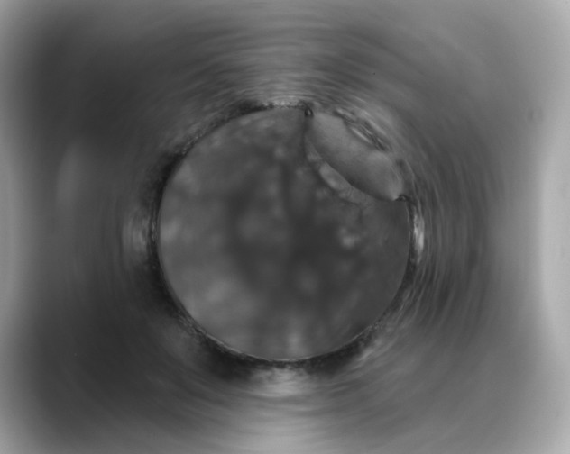 X0000088430503200706051232