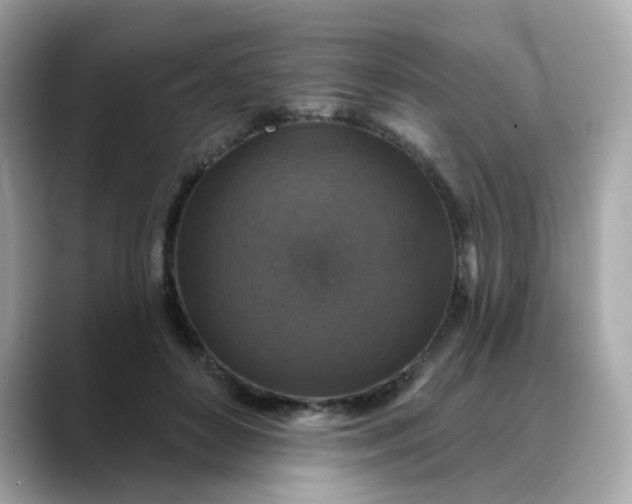 X0000088430504200706051232