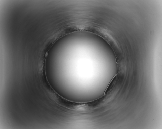 X0000088430505200706051232