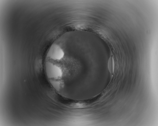 X0000088430506200706051232