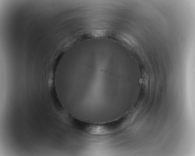 X0000088430507200706051232