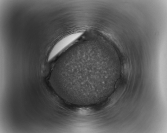 X0000088430508200706051232